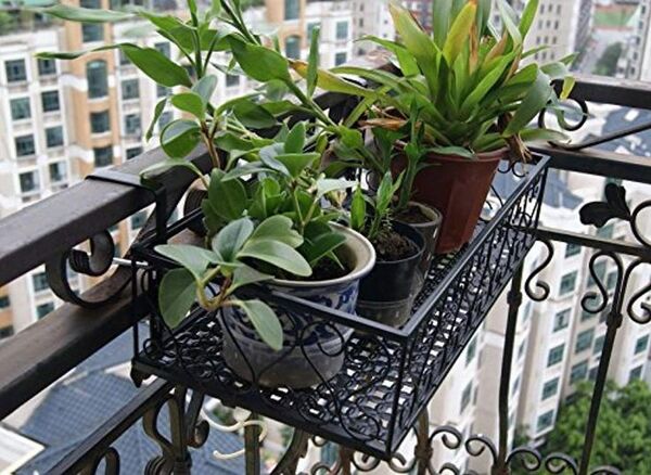 Potted plants arranged along a bright balcony railing